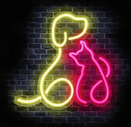 Neon LED pies i kot obrys kolorowy