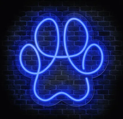 Neon łapa psa