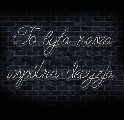 Neon LED z napisem „To była nasza wspólna decyzja”